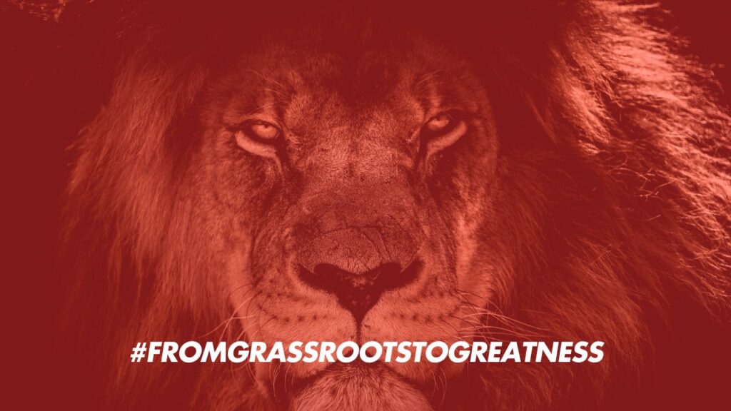British & Irish Lions