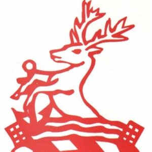 Profile photo of WestHartlepoolRFC