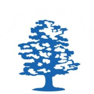 Profile photo of lytchett_rugby