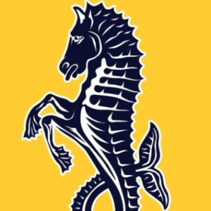 Profile photo of isleofwightrugbyclub