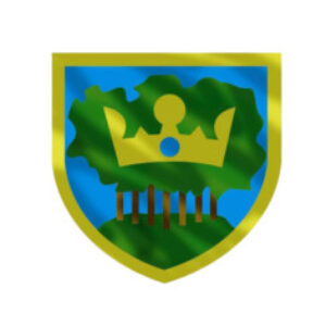 Profile photo of KINGSWOODRFC