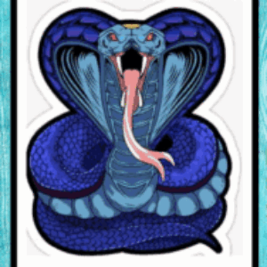 Profile photo of CobrasRugbyChiangMai