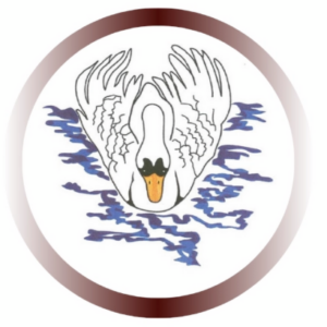 Profile photo of swansrfc