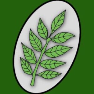 Profile photo of NewAshGreenRFC